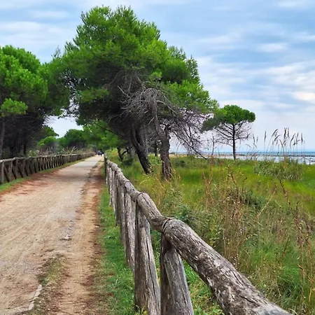 Airy With Balcony-beahost Apartment